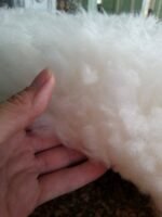 Premium Natural Sheepskin Rug for home decor - Image 2