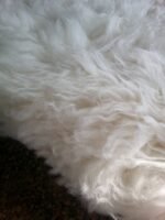 Premium Natural Sheepskin Rug for home decor - Image 3