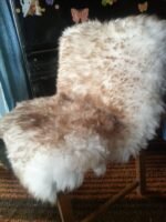 Sheepskin chair pads & Sofa cover, sheepskin rug