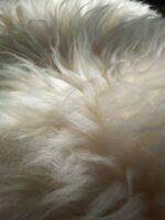Universal Natural Sheepskin Rug for home use - Image 7