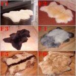 Sheepskin Sofa cover & sheepskin Rug + Elastic bands - 100% Natural - Image 9