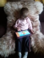 Sheepskin chair pads & Sofa cover - Handmade Sheepskin rug - Image 2