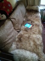 Universal Natural Sheepskin Rug for home use - Image 3