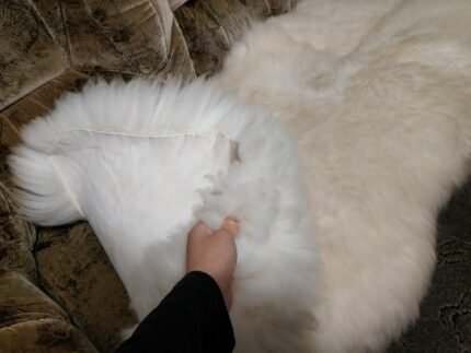Sheepskin Sofa cover +Elastic bands for FREE! Chair pads white stool covers gift genuine sheepskin pad mini rug carpet ivory red black brown