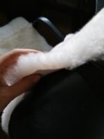 Car seat cover for car, home & office - Sheepskin - White - Image 4