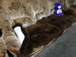 Sheepskin Rug for Any Space - home decor