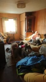 Children's drawings from Ukraine. Stop War in Ukraine. Ukrainian Art Painting. Ukrainian artist, children draw. Digital Download JPG File. - Image 9